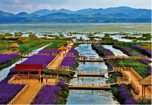 威宁草海。（苗麒麟 摄）
景区特点：草海保护区面积96平方公里，水域面积25平方公里。地处低纬度、高海拔地区，是我国比较少见的高原淡水湖泊。天水相连、山水相依、海湾岬角相间，风景秀丽，被誉为贵州西部的高原“明珠”。草海气候以光照充足、冬暖夏凉、干湿分明为特征。夏无酷暑，是避暑的理想之处。冬季鸟类云集，尤其是黑颈鹤数量多、密度大、形态优美、鸣声高吭，每年在此越冬的鸟类超过10万只，种类多达184种。草海宽阔的水面风光、以黑颈鹤为代表的珍禽、冬暖夏凉的高原气候、高原农耕景观等组合成草海独特的旅游资源。
草海是一个完整的、典型的喀斯特高原湿地生态系统，也是地球同纬度地区为数不多的高原天然淡水湖泊，是我国西南最大的候鸟越冬地，世界十大高原湿地观鸟区之一。有“鸟类天堂”“高原明珠”“生物基因库”等美誉，在中国生物多样性保护行动计划中，被列为一级重要湿地。