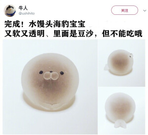 水馒头海豹宝宝