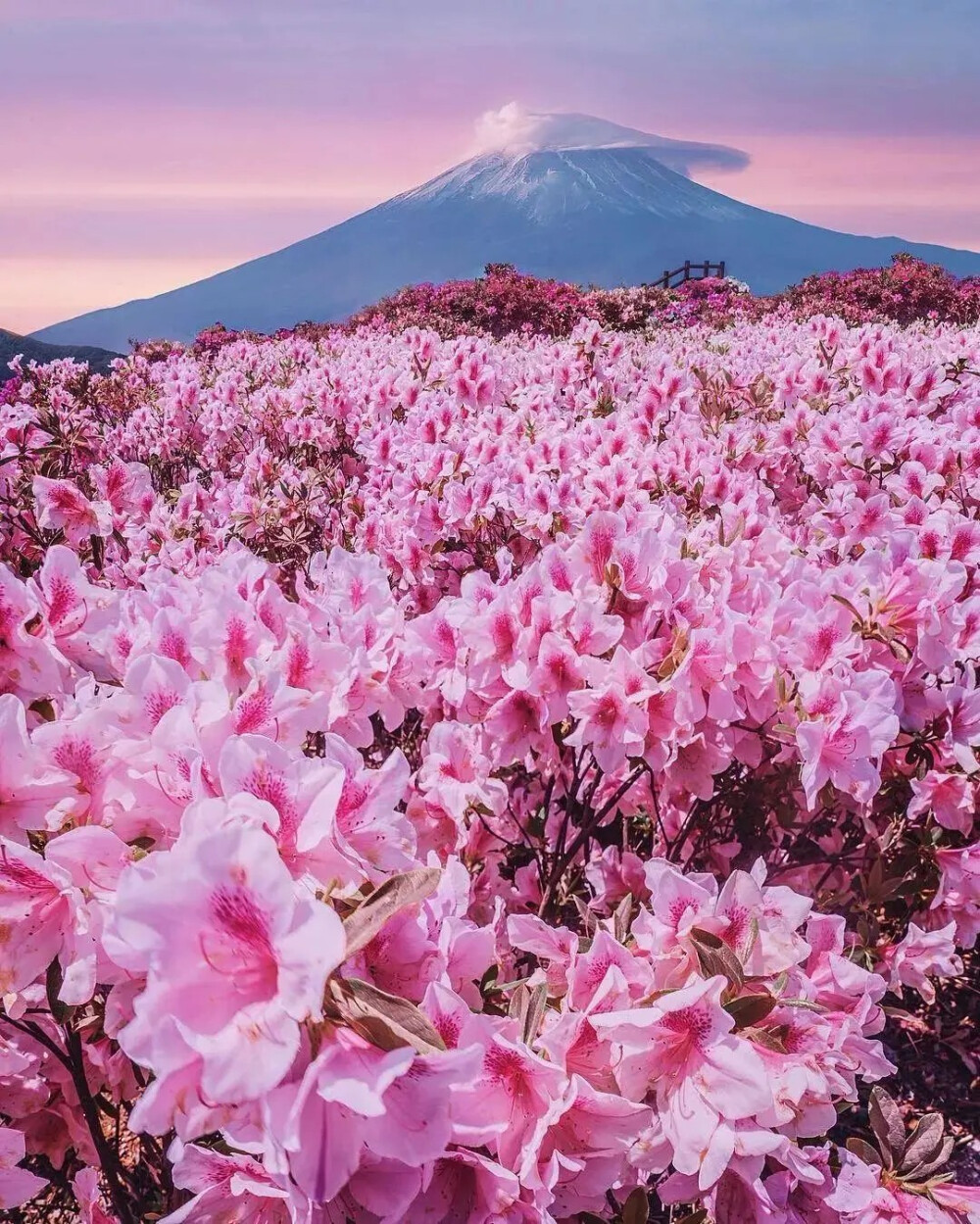 风光无限好 日本富士山