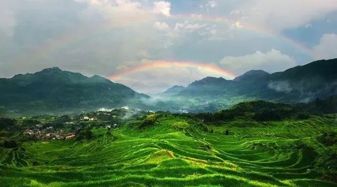 云和梯田
在高耸层峦的衬托下，油黄的稻田如同雨后春笋，带来了色彩上的冲击，自觉地想起了梵高的某些画作。
这里是华东最大的梯田，也有着“中国最美梯田”的声誉，自然是吸引了很多摄影爱好者的。尤其是日出和日落，让他们最不能放过的地方。
日渐西落的太阳、浩瀚如大海的云雾、散开的落霞，天、地、稻田三者合一，让你分不清这美景是梦幻还是现实。坐标：浙江省丽水市云和县崇头镇云和梯田景区
坐标：浙江省丽水市云和县崇头镇云和梯田景区