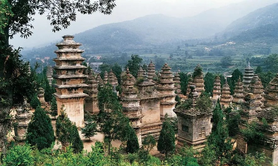 河南 少林寺景区塔林