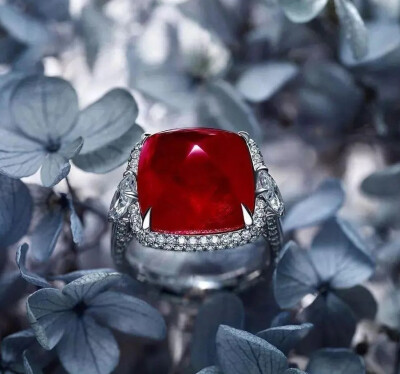 珍稀珠宝鉴赏 钻石镶嵌红宝石戒指