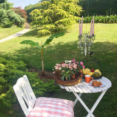 #花园##花# 在家感受诗和远方[二哈]//庄园生活
@玛格丽特-颜 @花也IFIORI @家居植物美学 ​​​