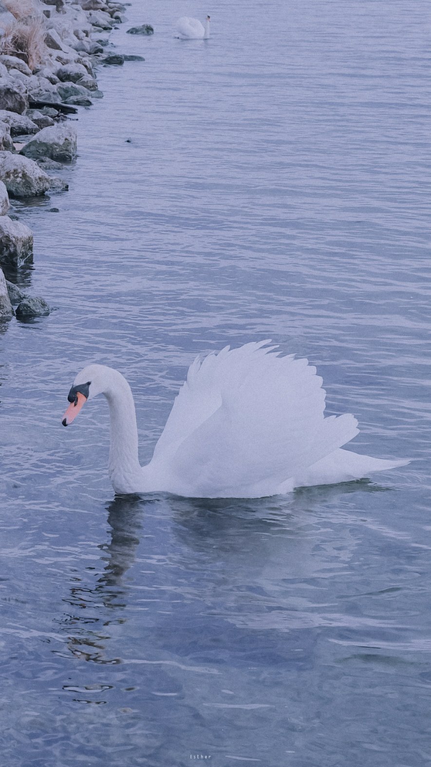 摄影：星星_Esther_