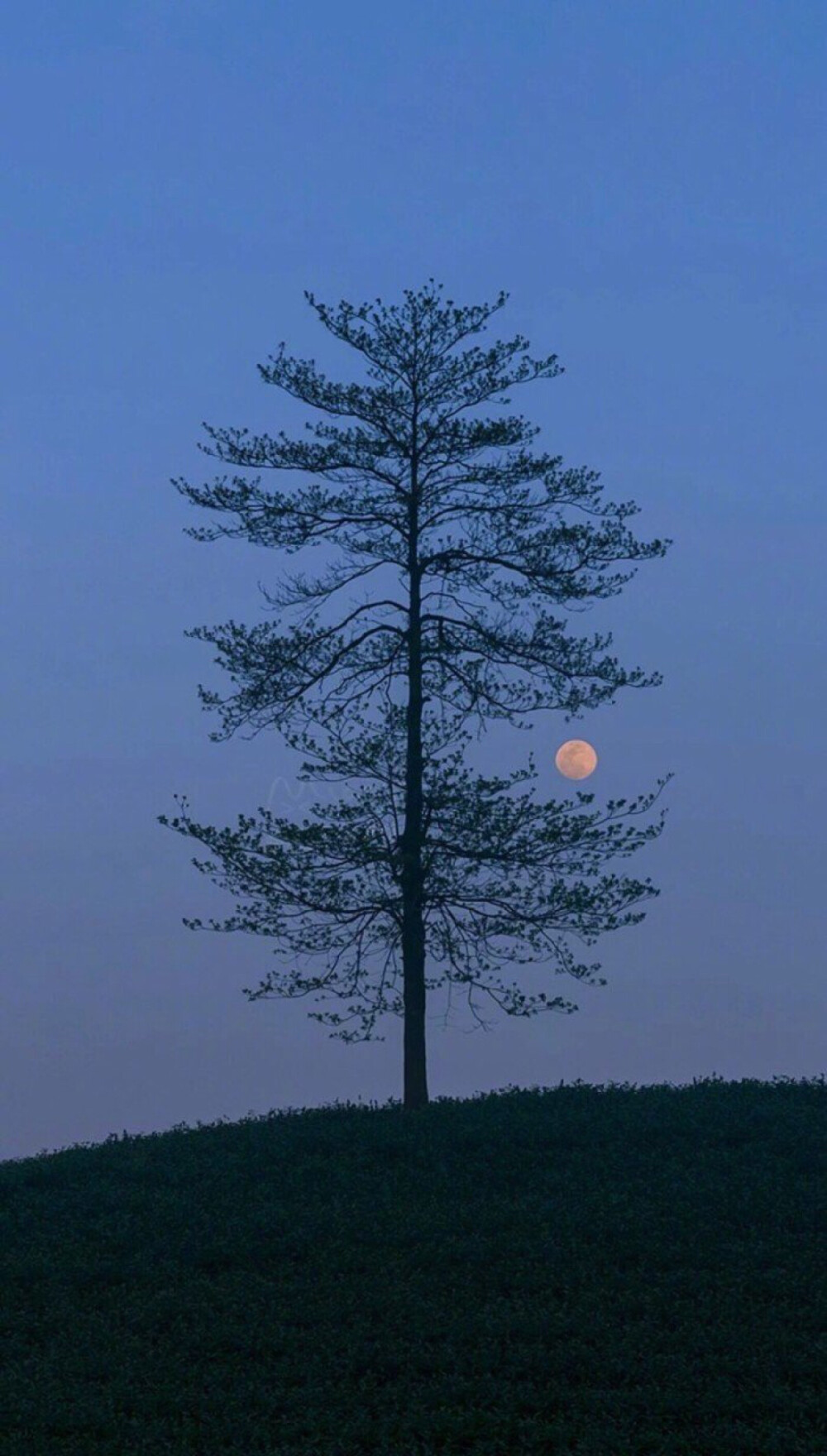 壁纸 风景壁纸 旅行