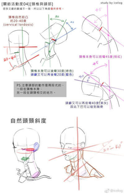 [結(jié)構(gòu)筆記](méi) [1.脊椎活動(dòng)度] [2....