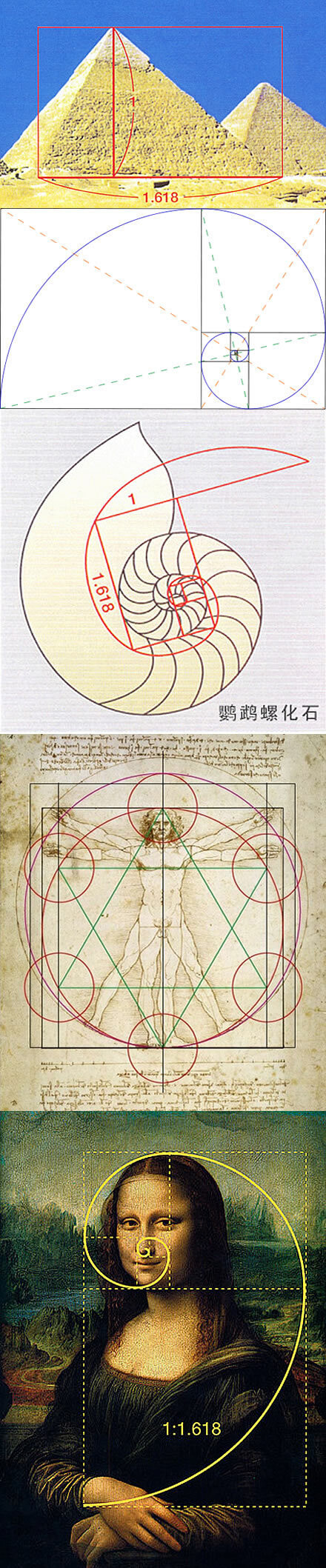 黄金比例在各处都有运用，注意，是1:1.618，不是0.382:0.618啦xx