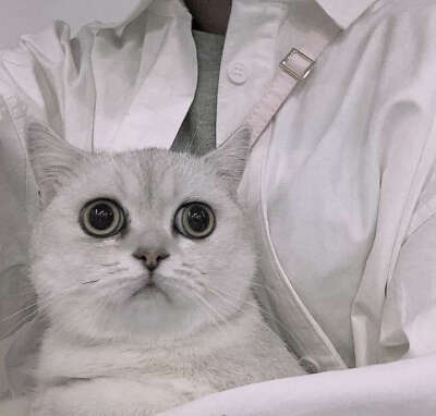 你是特例 有且仅有