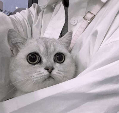 你是特例 有且仅有