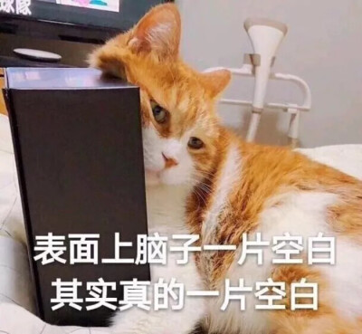 表情包