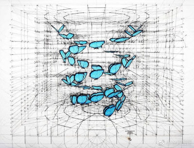 手绘黄金比例插图 . 委内瑞拉建筑师、艺术家 Rafael Araujo ​​​​