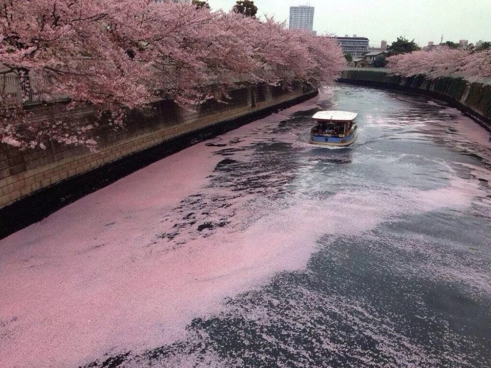 我好像脱单了。