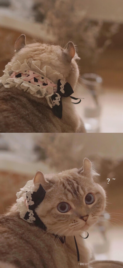 iPhone X S R 11pro MAX 壁纸 ​​​