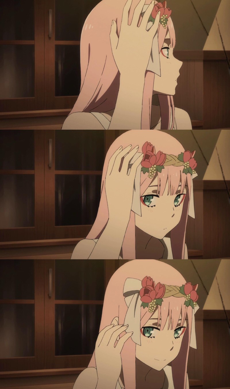 [DARLING in the FRANXX / 国家队]