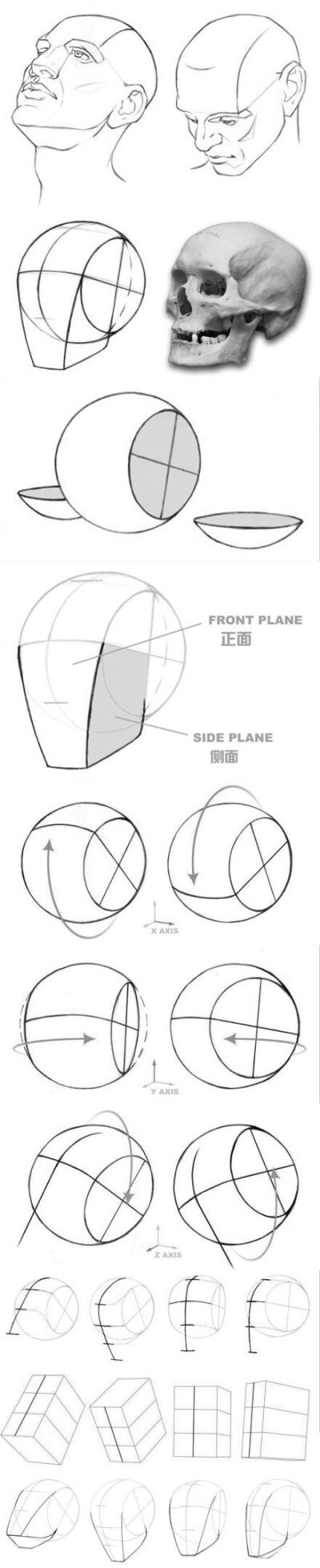 头部分解画法