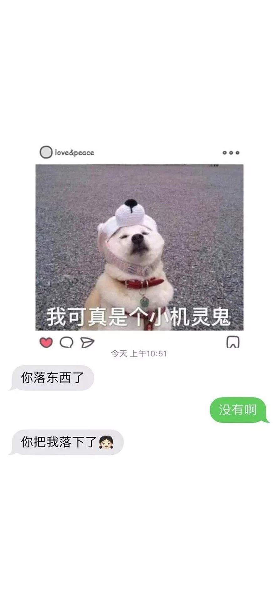 壁纸