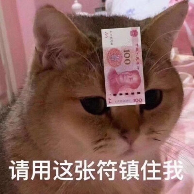 来啦