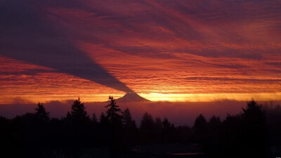 山的影子投映在天上。这是Mount Rainier，位于西雅图东南87千米。这种投影通常出现在秋冬季节多云的日出时分