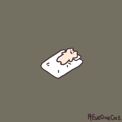 一组可爱的沙雕猫猫动图，治愈所有不开心～
(twi: motions_cat) ​