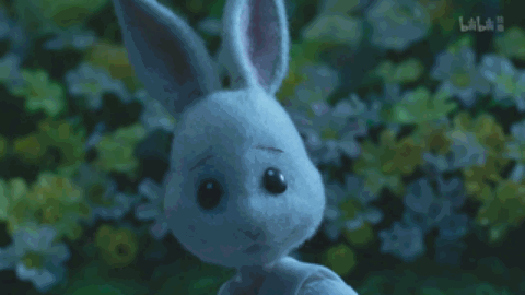 《动物狂想曲》