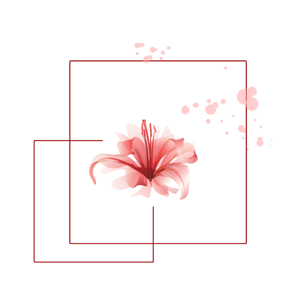 关注我 七夏小屋