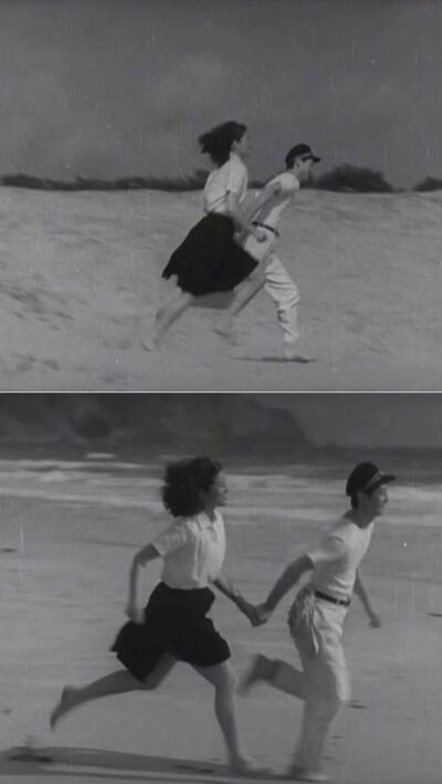 后来南京沦陷了 梧桐树也没有了。