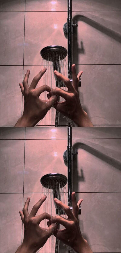 后来南京沦陷了 梧桐树也没有了。