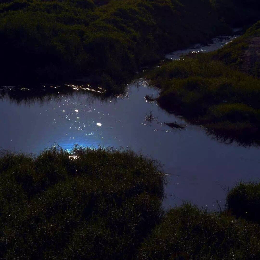 “繁星點點，獨你入心” ​​​