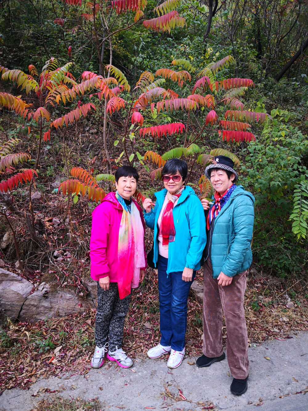 天津蓟县九山顶两日游—2019-10-16-17