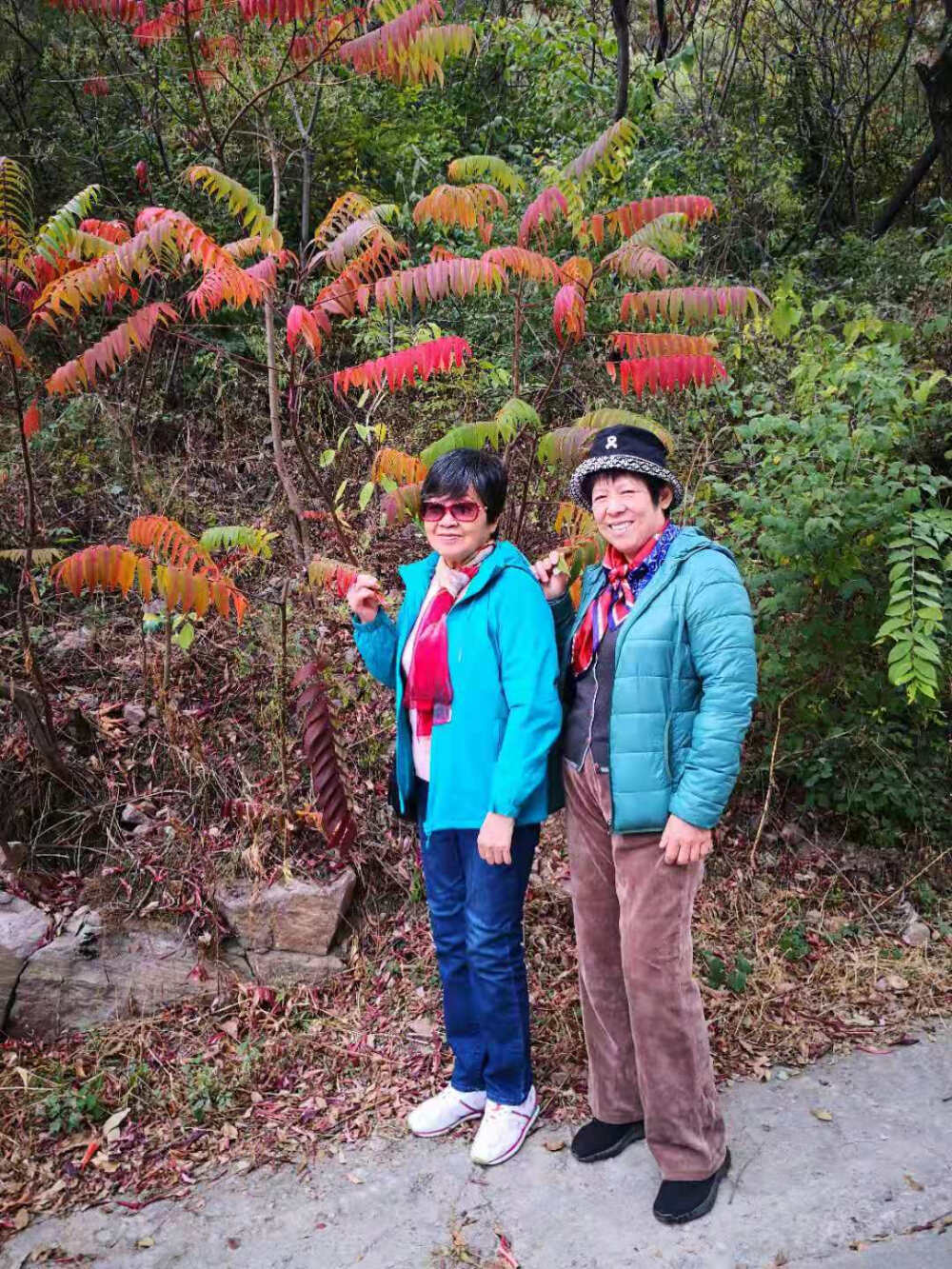 天津蓟县九山顶两日游—2019-10-16-17