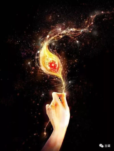 活在这珍贵的人间，太阳强烈，水波温柔。❤️