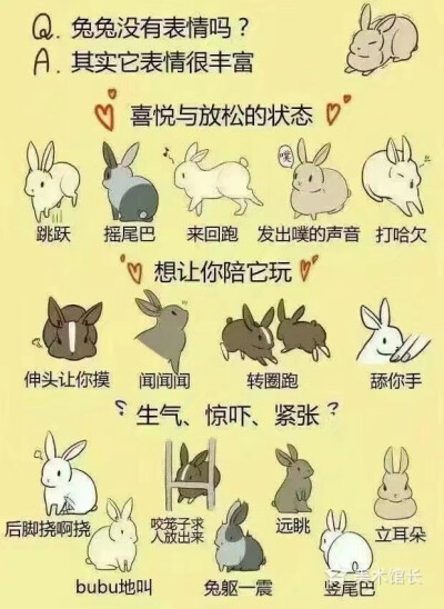 绘画素材