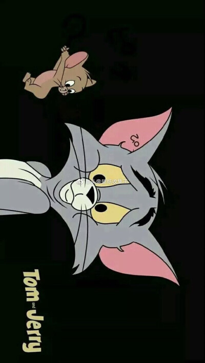 Tom and Jerry 猫和老鼠 壁纸