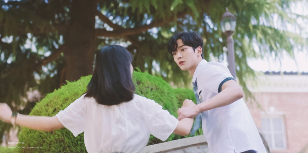 偶然发现的一天