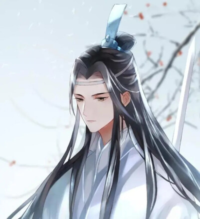 魔道祖师—蓝忘机