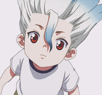 《Dr.STONE 石纪元》
石神千空的过去