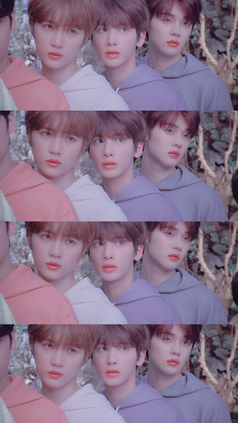 ♡TXT♡
©微博