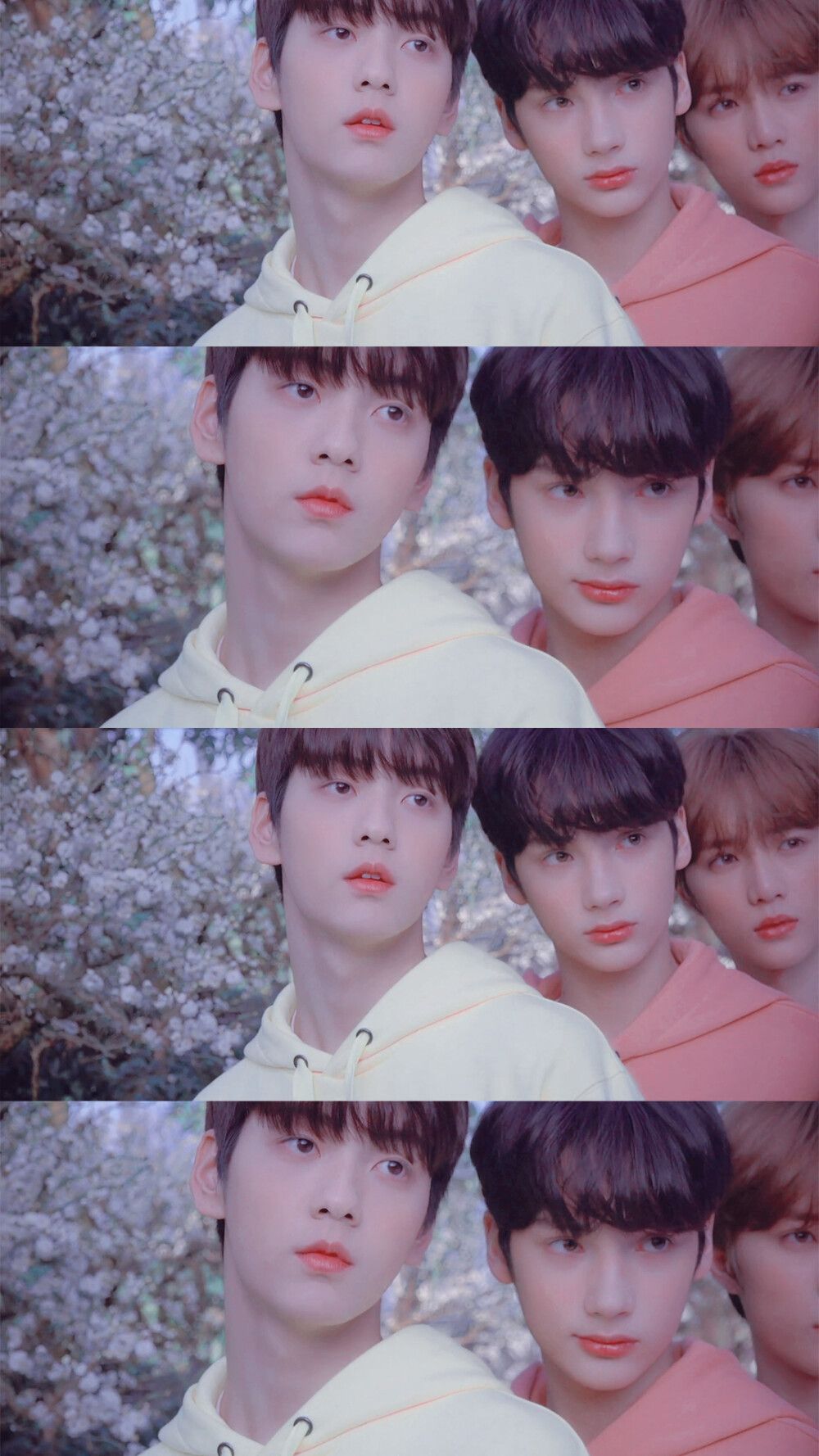 ♡TXT♡