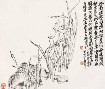 吴昌硕 《山水花鸟册》幽 兰
苍石爱石，自喻为石，称“石先生”，但此前少见单独画石，此《草石》、《双石》仿佛有自我写照之意，题句皆涉禅，前者题：“老夫画石类狂鬼，颠不下拜禅弥真”；后者题句有：“独抱秋心…