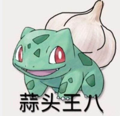 宠物小精灵