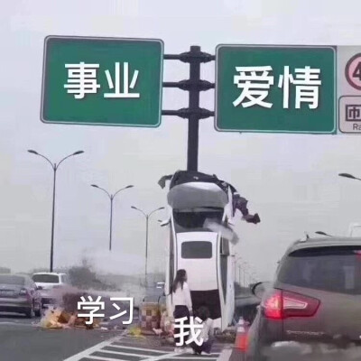  做我的狗！