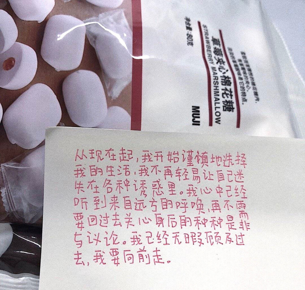 你是人间理想