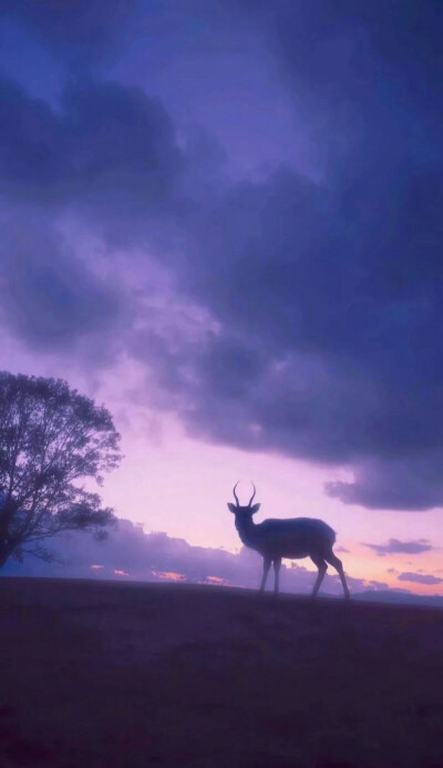 ⏯️一是婴儿哭啼
二是学游戏
三是青春物语
四是碰巧遇见你