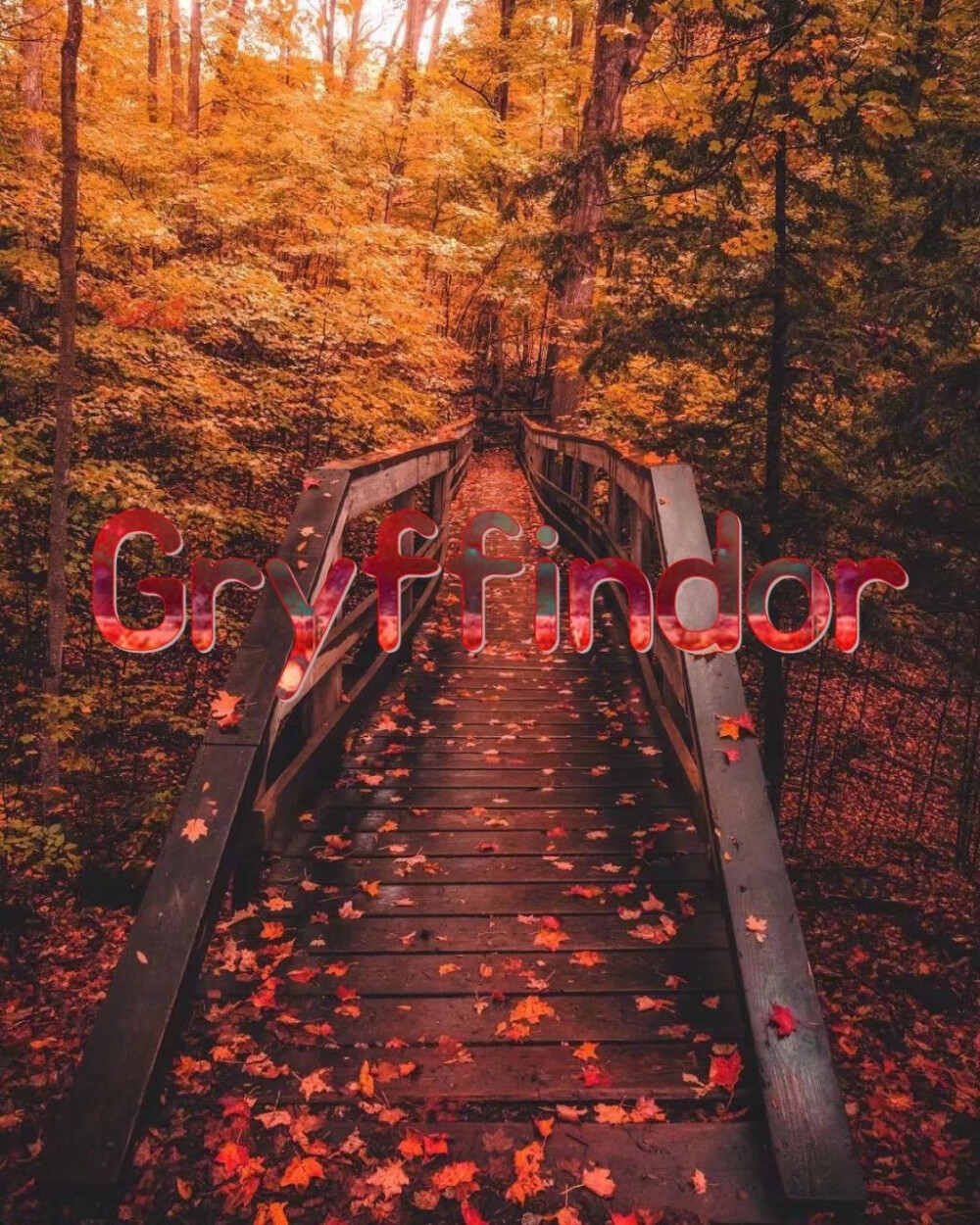 霍格沃茨四学院风壁纸
