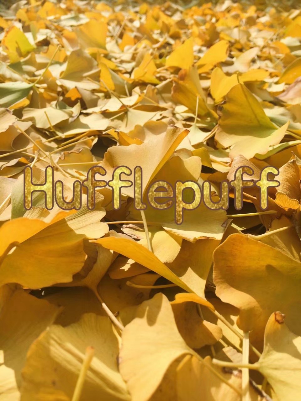 霍格沃茨四学院风壁纸
