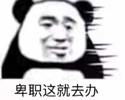 哈哈哈哈