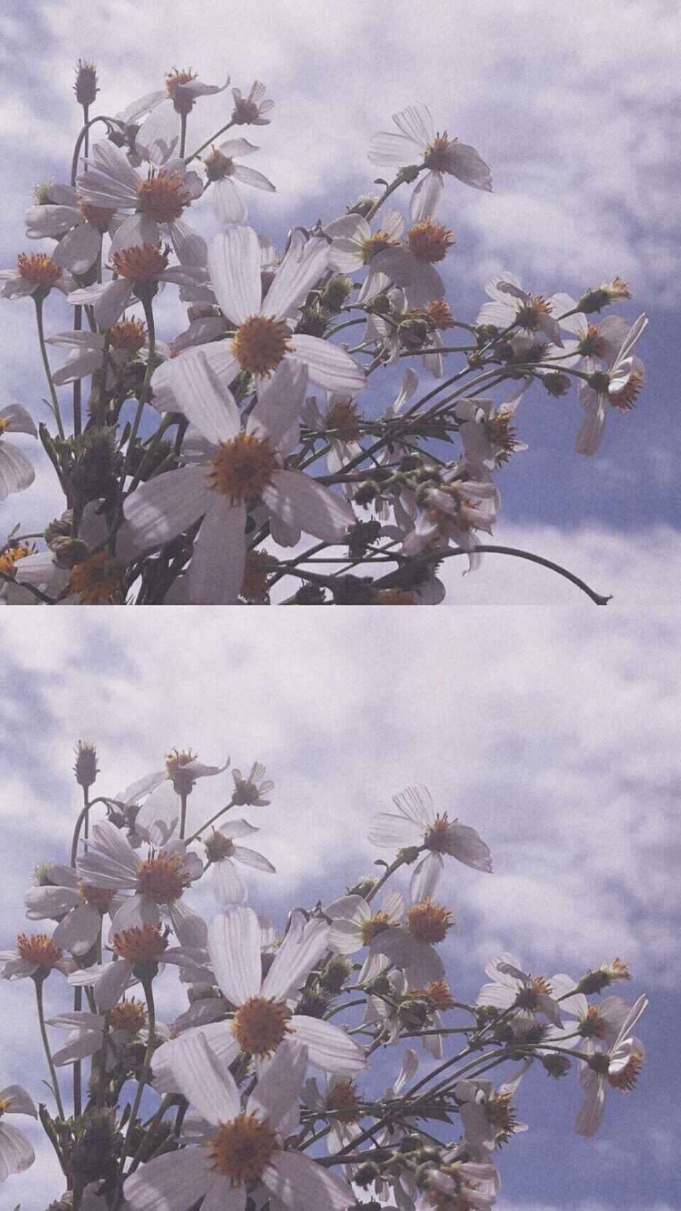 :偶尔动情，记得清醒