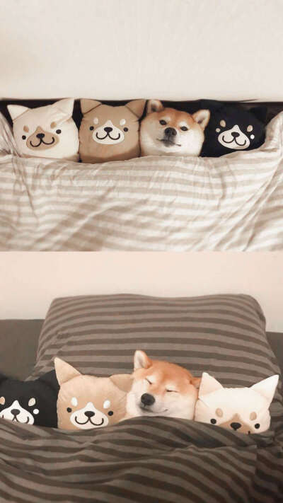 :偶尔动情，记得清醒