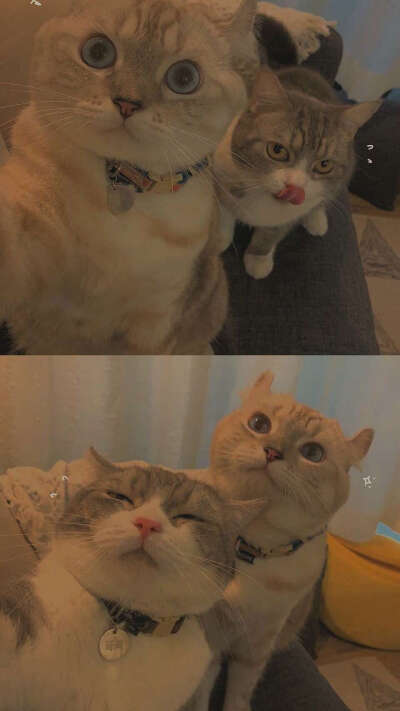 :偶尔动情，记得清醒