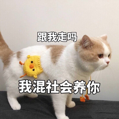 我养你